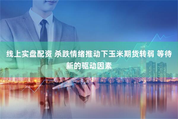 线上实盘配资 杀跌情绪推动下玉米期货转弱 等待新的驱动因素