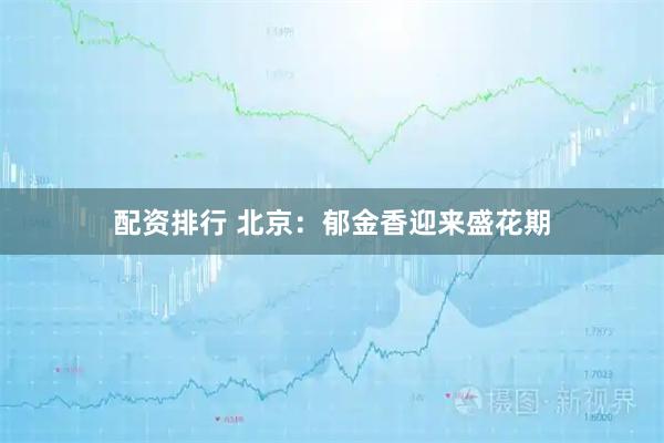 配资排行 北京：郁金香迎来盛花期